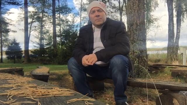 Когда приходит Муза к программисту? смотреть онлайн