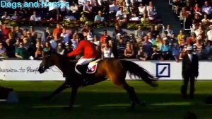 Клип/конный спорт