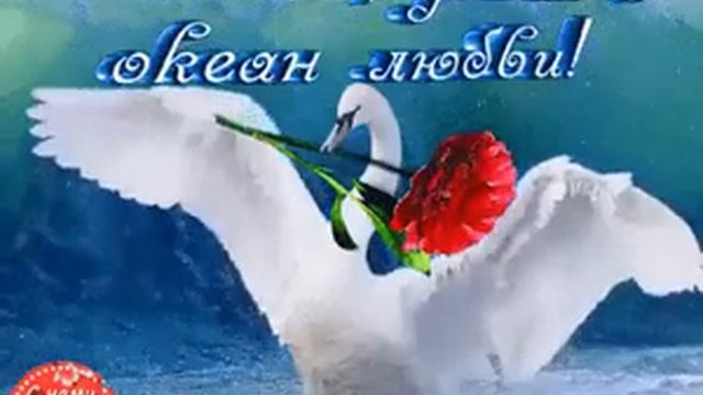 голубь мира смотреть онлайн