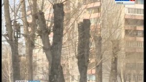 кронирование деревьев