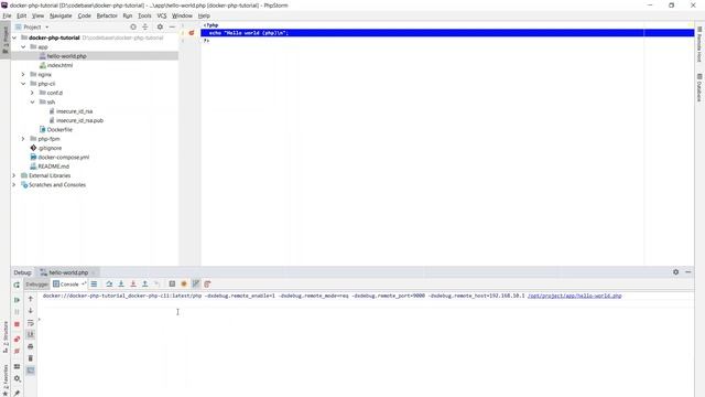 Setting up PhpStorm with Xdebug on Docker смотреть онлайн