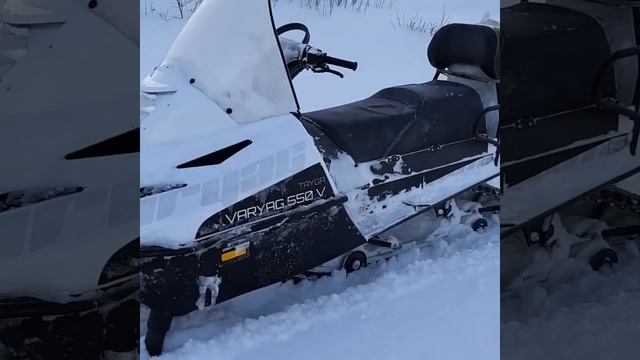Тайга Варяг 550V.2020 смотреть онлайн