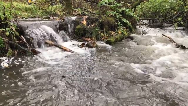 слоумоушн Красноярские столбы Ручей Дубровник смотреть онлайн