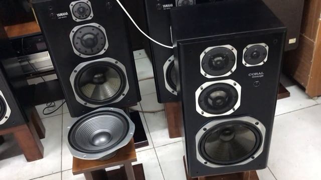 Coral dx-1000x или Yamaha ns-eleven Нам нужен розыгрыш? смотреть онлайн