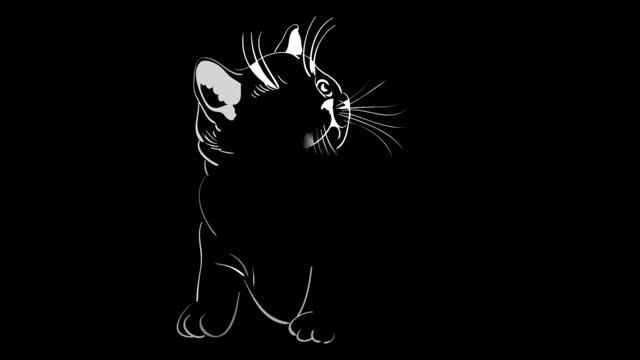 футажи для видеомонтажа koshka смотреть онлайн