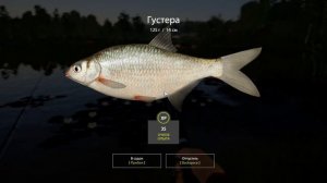 Русская рыбалка 4 обзор точки на донку, что поймаем о.Комариное