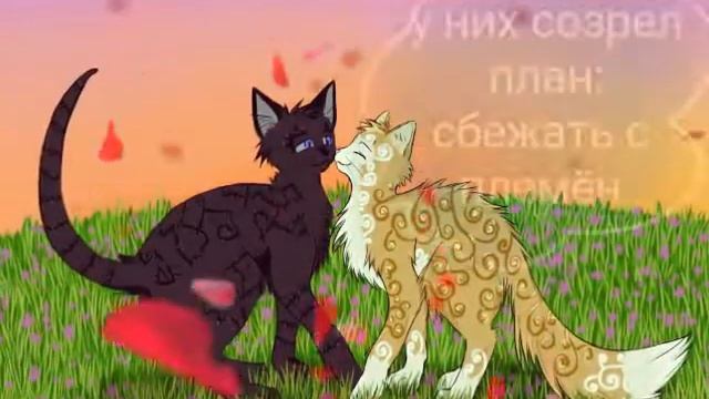 Коты воители грач и листвичка история смотреть онлайн