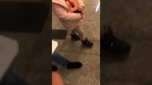 Шереметьево смотреть онлайн