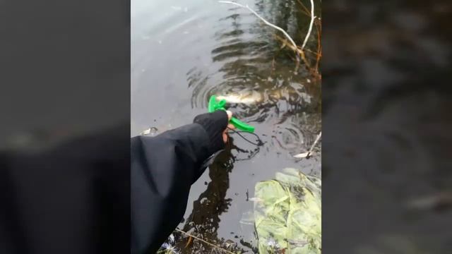 Рыбалка на щуку. поймал отпусти. ловля на легкий джиг и воблеры смотреть онлайн
