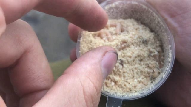 КАРАСЬ В ОКТЯБРЕ гнёт удочку. Рыбалка на Оке. Рыбалка на фидер. Рыбалка 2022 смотреть онлайн