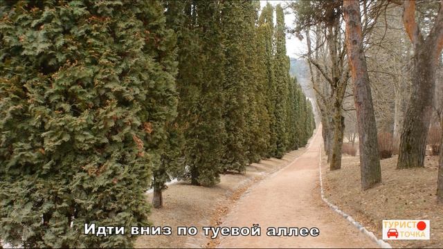 Прогулка к Красным Грибам в Кисловодске смотреть онлайн