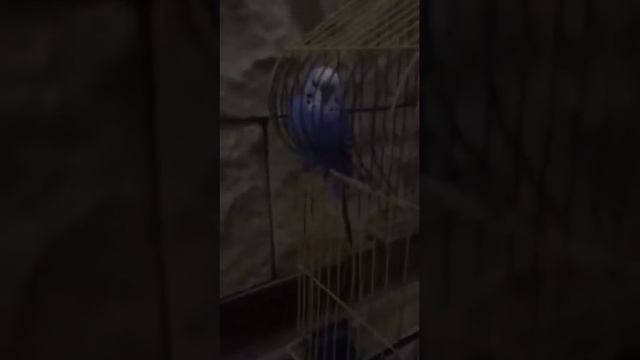 Египет в январе 3 часть Sphinx aqua park beach смотреть онлайн