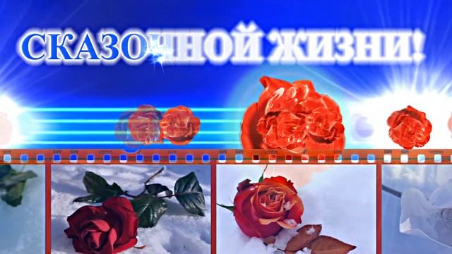 С Днём Рождения!!! Весеннее поздравление С Днём Рождения!!! Видео к Дню Рождения!!! смотреть онлайн