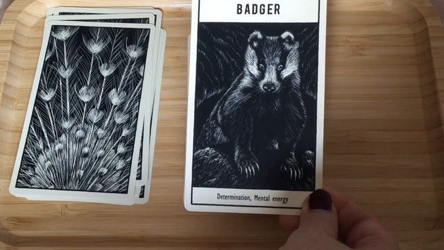 Untamed Spirit Animal Oracle ~ Walkthrough смотреть онлайн
