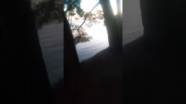 Зелёная долина🏝️ смотреть онлайн
