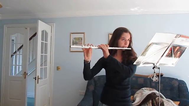 Me playing 'Two Hornpipes' on flute смотреть онлайн