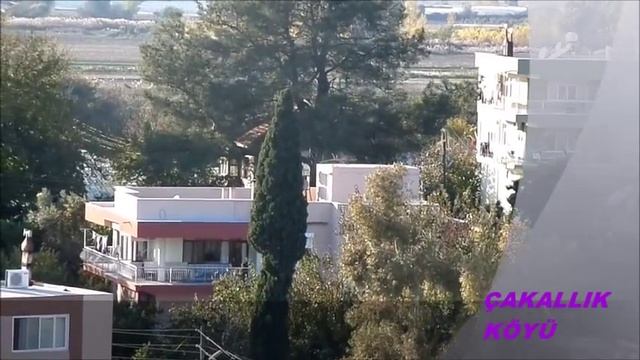 çakallık köyü/serik/antalya смотреть онлайн