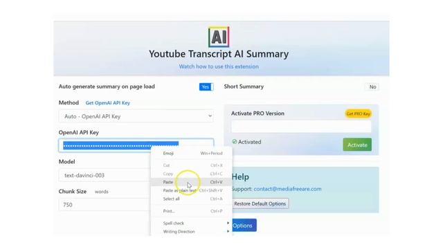 Youtube Transcript AI Summary - Browser Extension - Free Version смотреть онлайн
