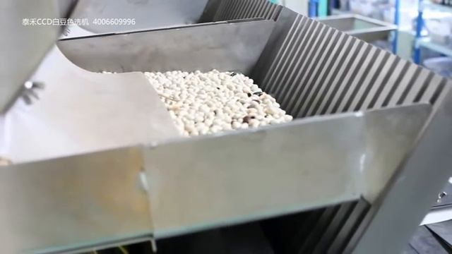 Сортировка белых бобов смотреть онлайн