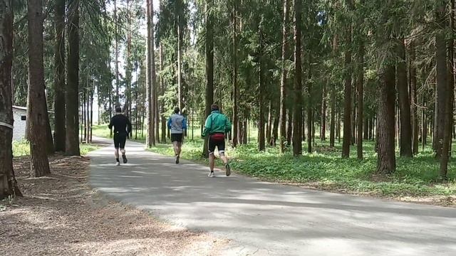 VLOG 11. Открытие лыжероллерного сезона / тест лыжероллеров Start и Inovik. Какие брать? смотреть онлайн