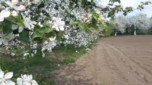 2.Будет апрель..... смотреть онлайн