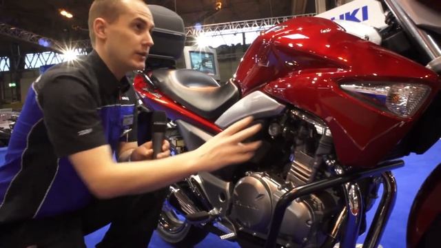 Suzuki Gw250 Inazuma