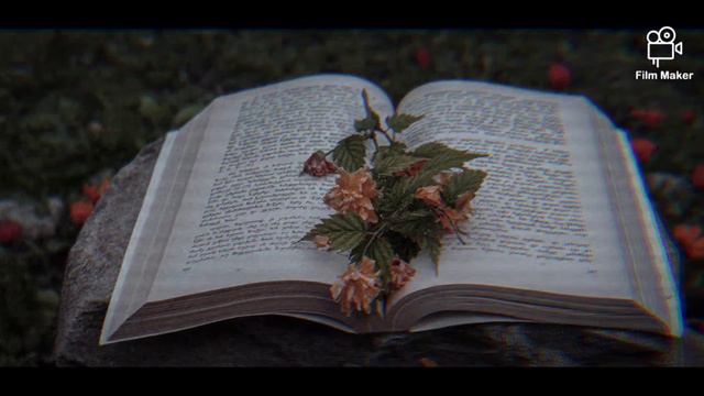 levis capaldi- someone you loved смотреть онлайн