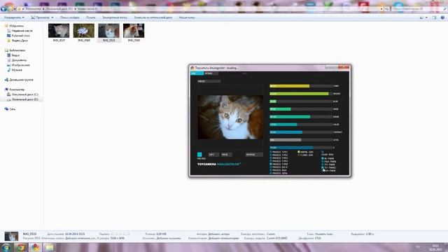 Программы для обработки графики - Toycamera Analogcolor