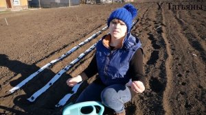 Как я сажаю СВЕКЛУ на ленте (туалетной бумаге) в открытый грунт!