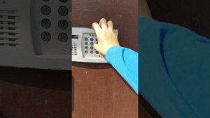 19 квартир мёртв