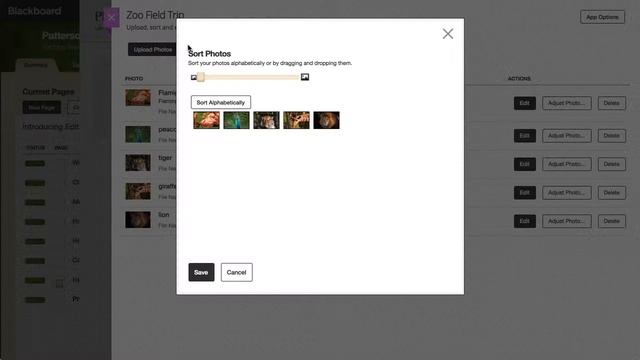 Photo Gallery Overview in Web Community Manager смотреть онлайн