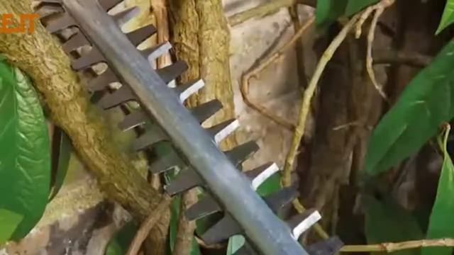 Come tagliare la siepe in maniera veloce con un tagliasiepe Bosch AHS 45 смотреть онлайн