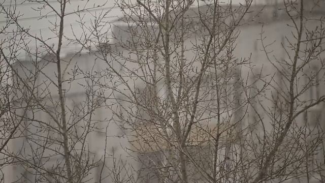 МС 3М 5СА и Юпитер 9 смотреть онлайн