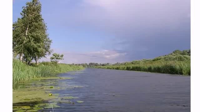 Восточно Европейская равнина