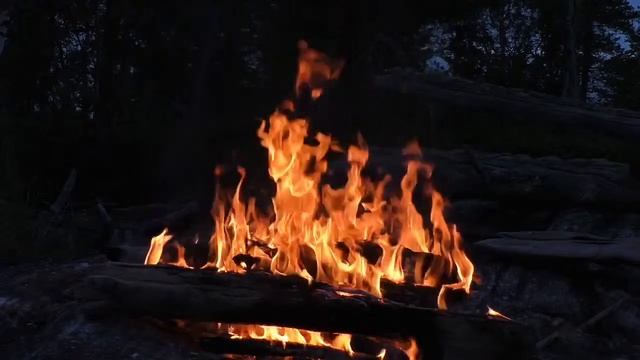 Костер на берегу лесного озера. / Звуки для медитации, отдыха и сна. /Relax смотреть онлайн
