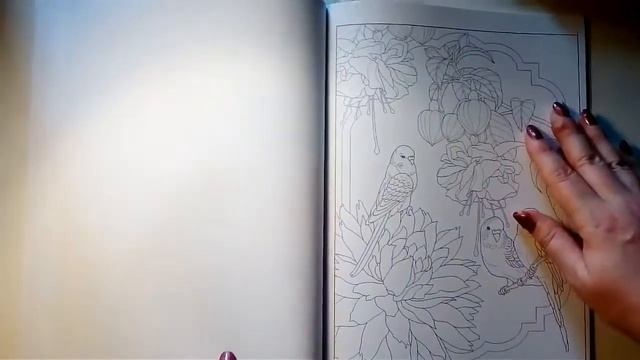 Joys Of Nature Creative Haven  Coloring Book By Marty Noble Flip Through