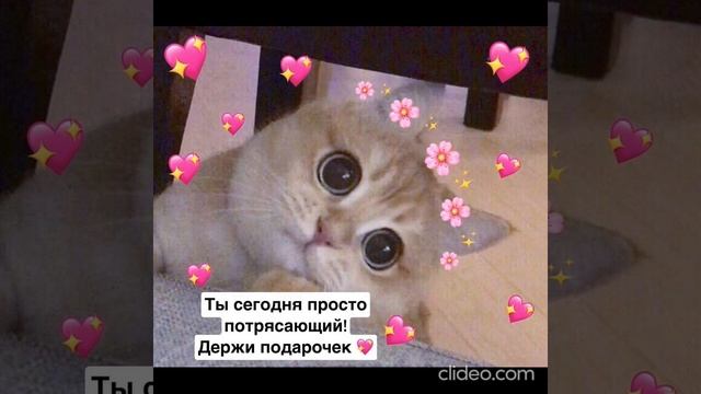 утро 31.07 смотреть онлайн