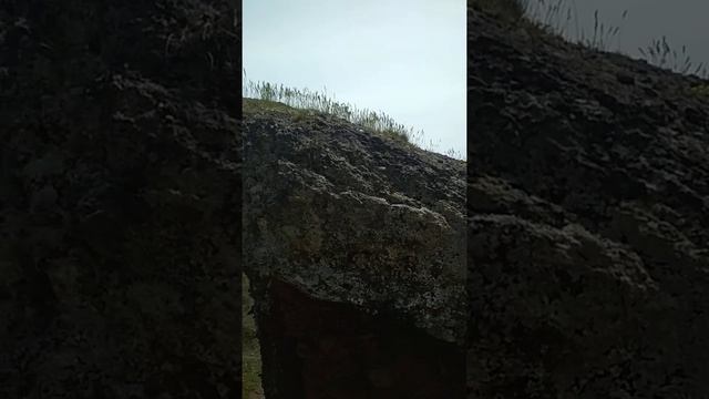 каменные грибы,Сотера смотреть онлайн