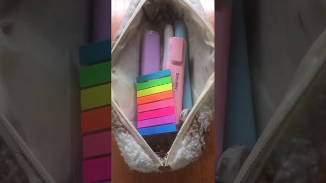 Пенал в школу#учеба #школа #подготовкакшколе #эстетика смотреть онлайн