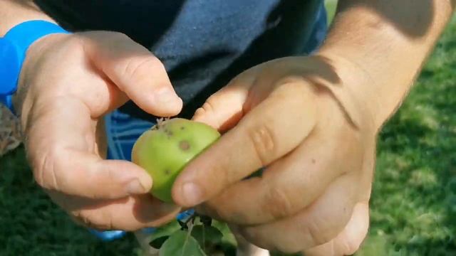 2 вкусных завтрака ?Отдых с КАРАТЭ ? ПИКНИККЛАБ ? ? смотреть онлайн