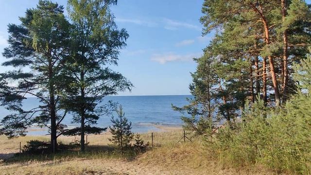 Чудское озеро, Каукси пляж, Ида-Вирумаа, Эстония.
Estonia, Ida Virumaa, Kauksi rand, Peipsi järv. смотреть онлайн