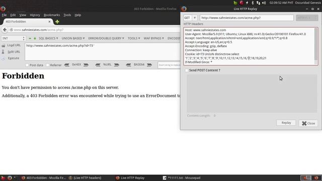SQL INJECTION TUTOIAL SOLUTON | WAF BYPASS MEDIUM смотреть онлайн