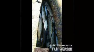 Охота и рыбалка в Якутии