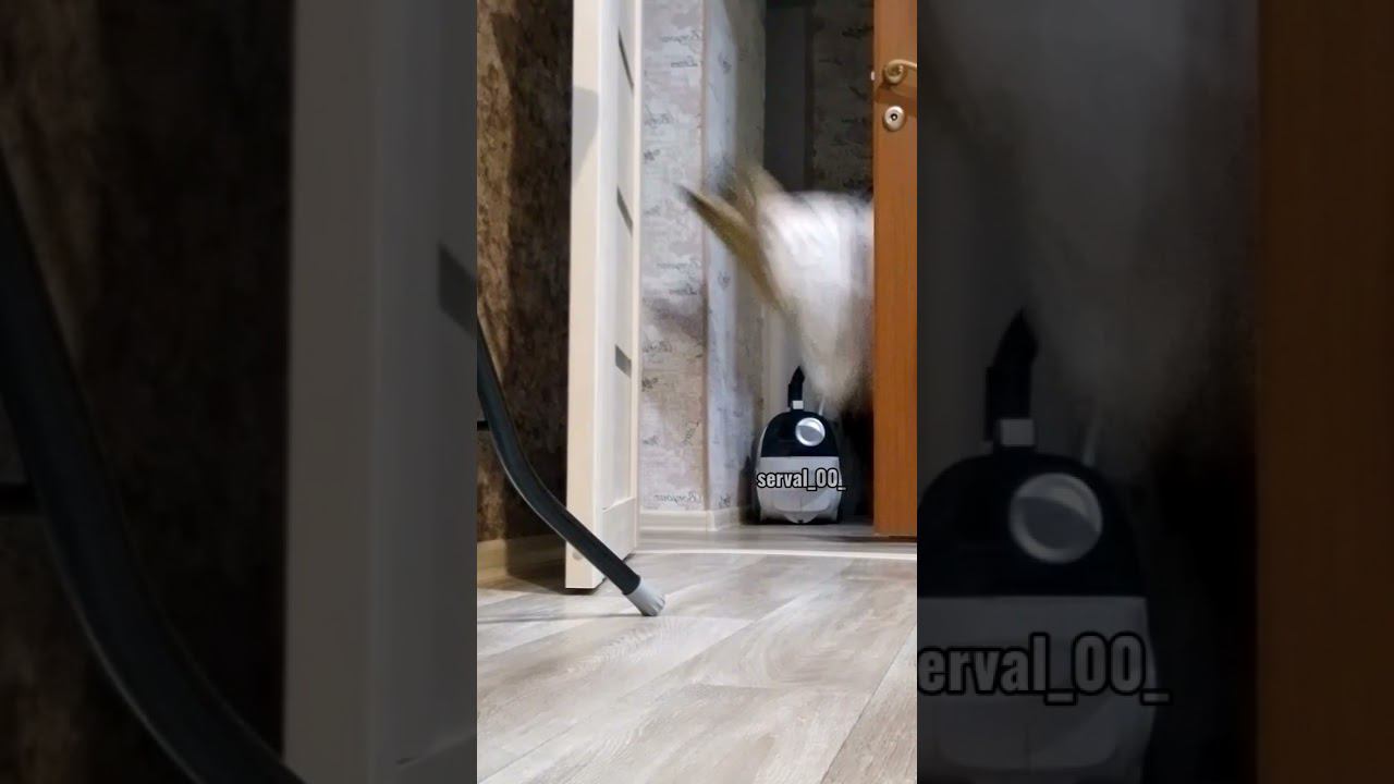 новые штаны #спорт смотреть онлайн