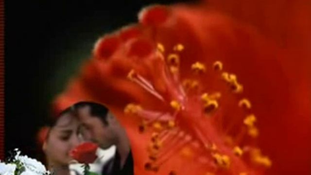 дарите женщинам цветы.flv смотреть онлайн