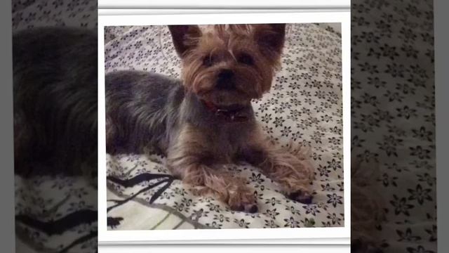 2 октября 2020 г. смотреть онлайн