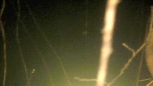 Латвия подводная съемка (Карьер Сауриши) Latvia Underwater Video смотреть онлайн