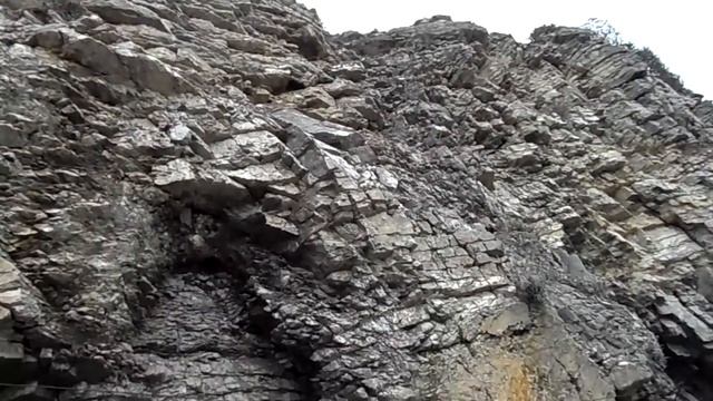 Зимнее море. Никита. Ялта. Крым смотреть онлайн