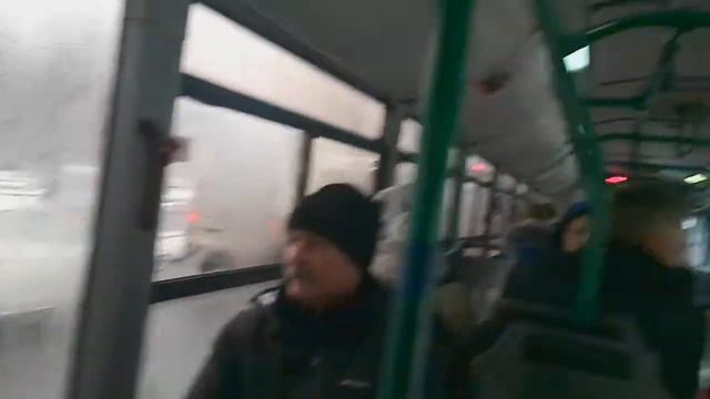 Волжанин 6270 06 борт 6215 по маршруту 102 СПб поездка смотреть онлайн