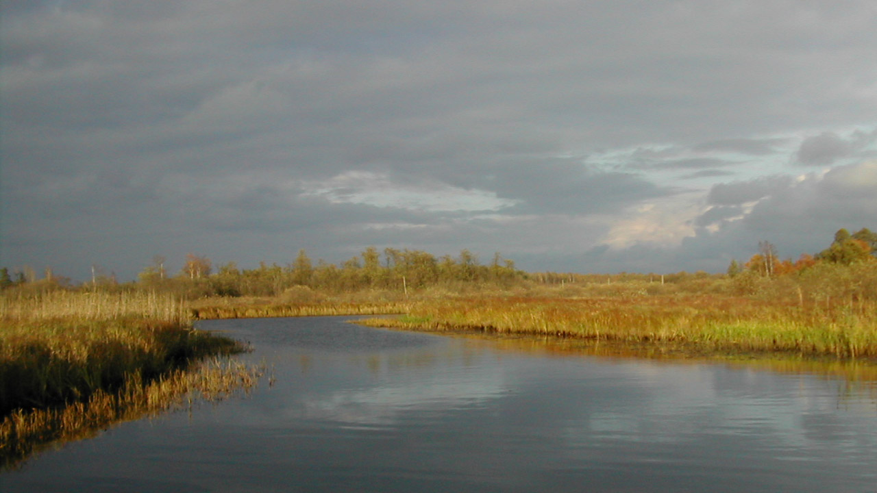 Иеромонах Роман. «Радость моя, наступает пора покаянная...» смотреть онлайн